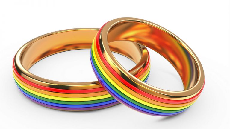 Уряд Чехії підтримав пропозицію про одностатеві шлюби