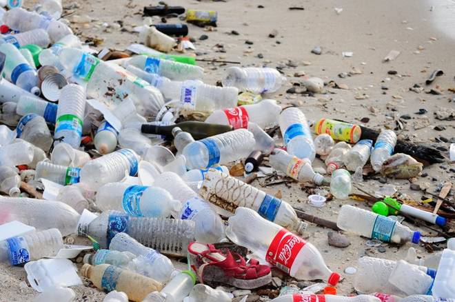 Сенат Чехії підтримав заборону одноразових пластикових виробів
