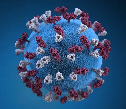 коронавірус в чехії